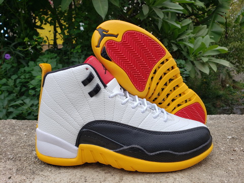 Air Jordan 12-303